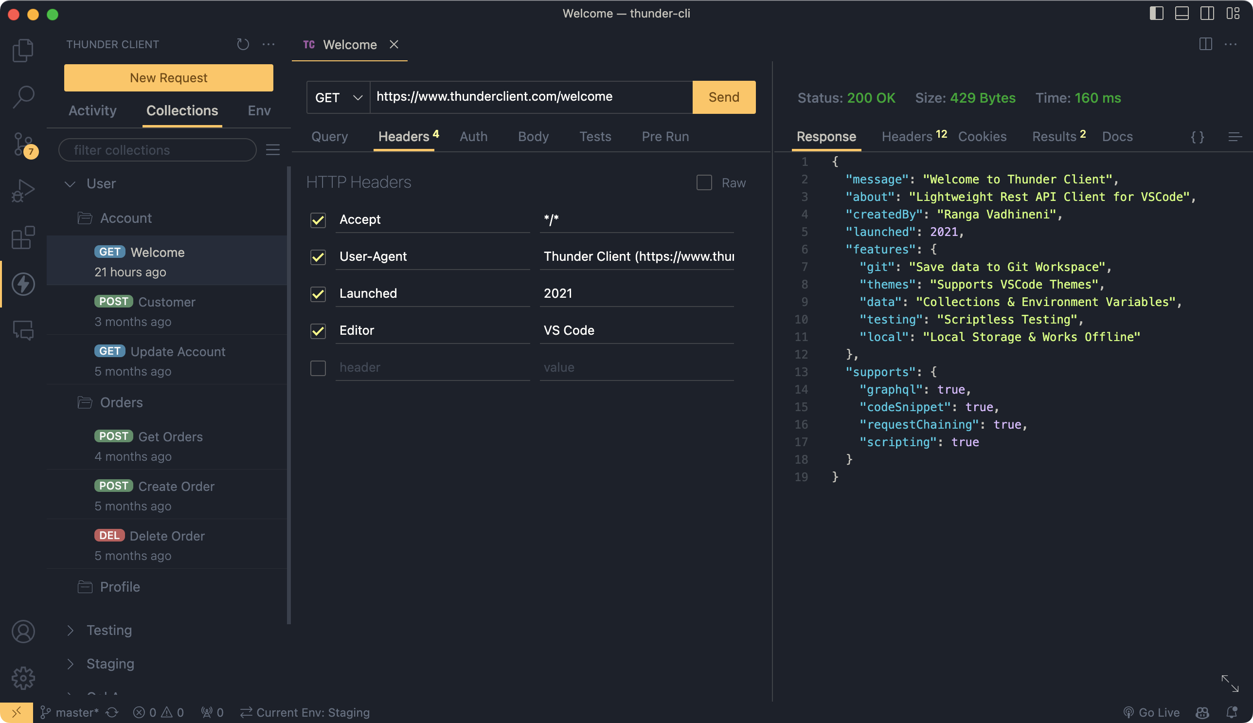 Postman vs Thunder Client. Thunder Client is alternative to Postman.